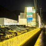 トヨペットイルミネーション2021